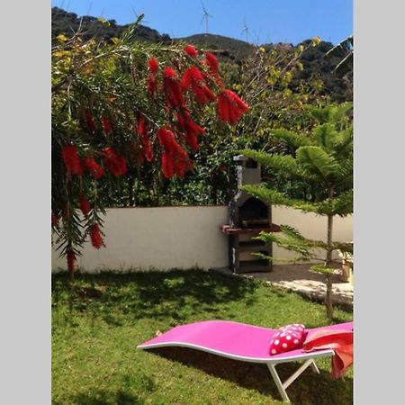 Apartment La Pena Rojo Wifi 塔里法 外观 照片