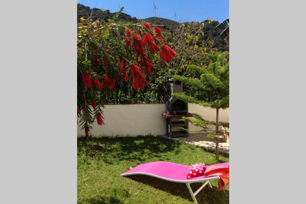 Apartment La Pena Rojo Wifi 塔里法 外观 照片