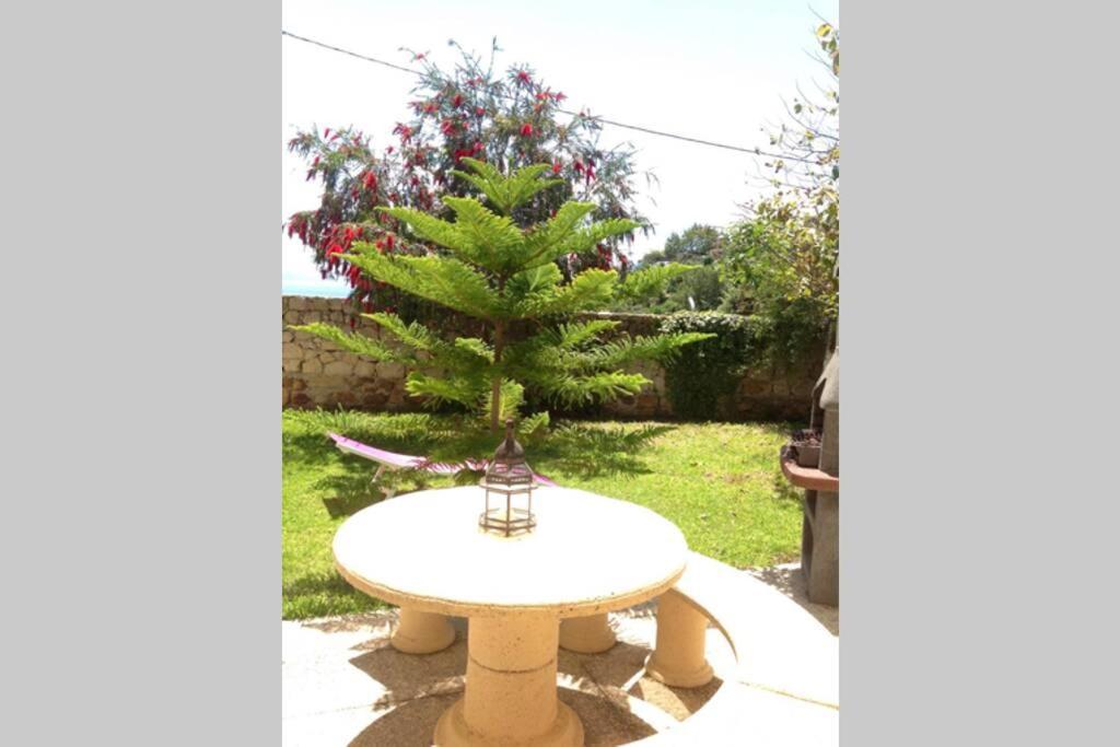 Apartment La Pena Rojo Wifi 塔里法 外观 照片